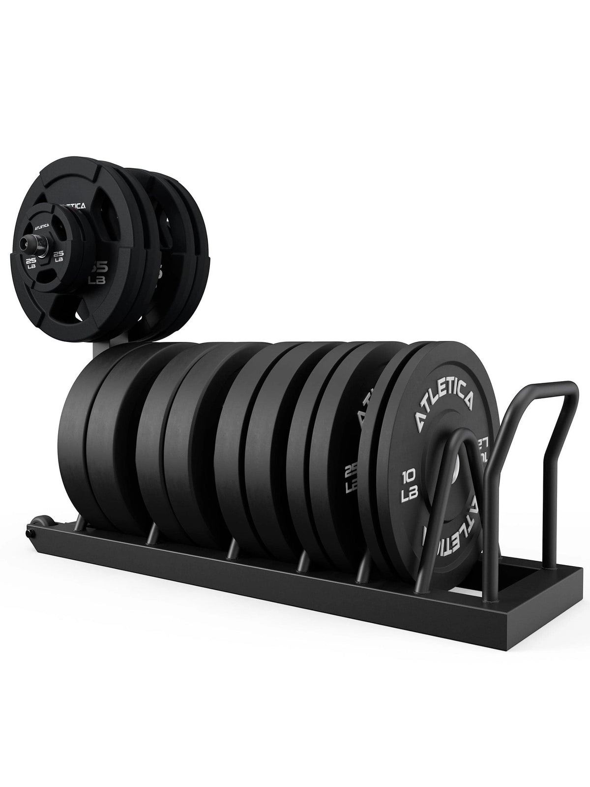Tusker Rack: compact plate stand | 6 compartments