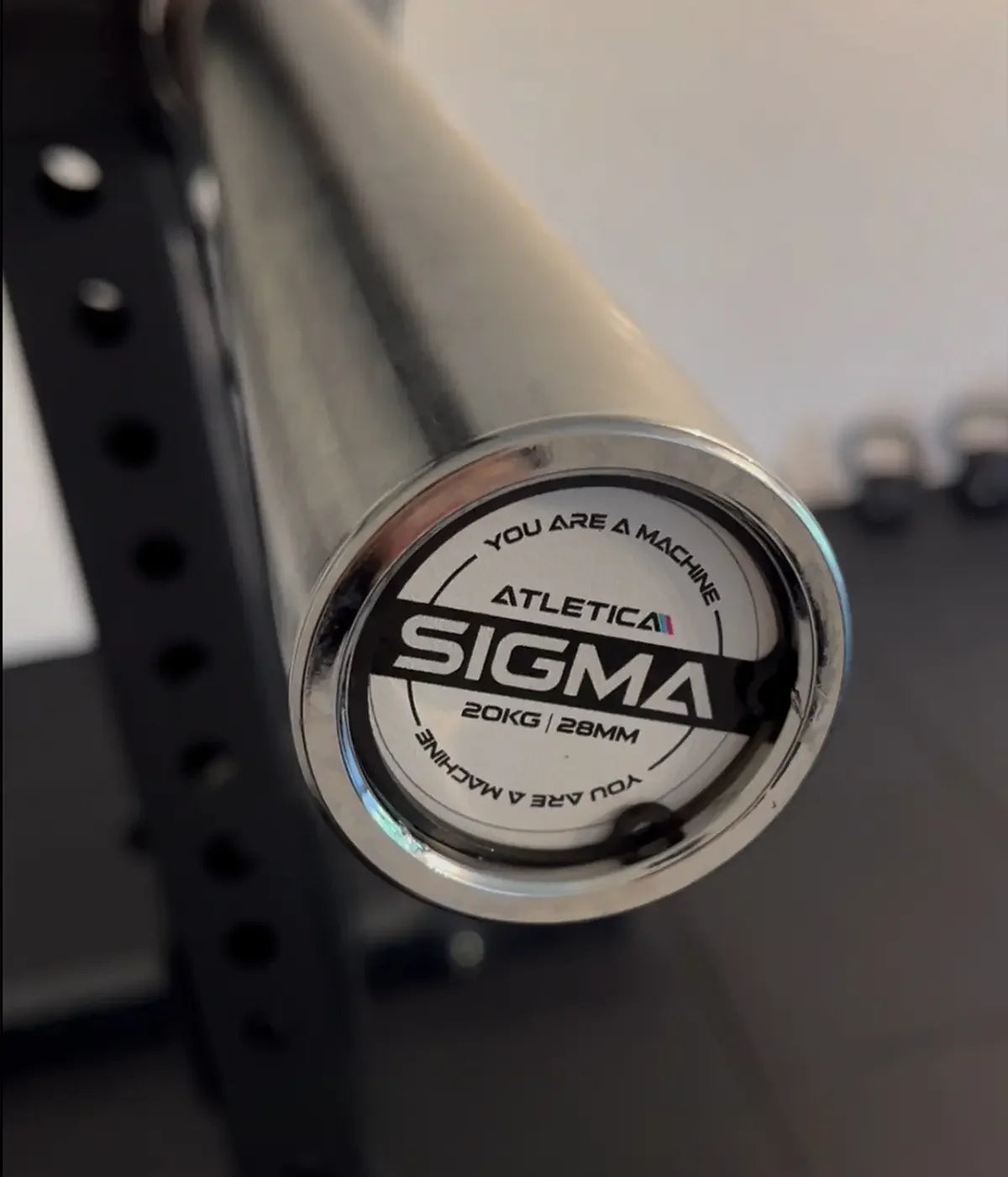 Diane Caldwells Gym: Sigma Langhantel