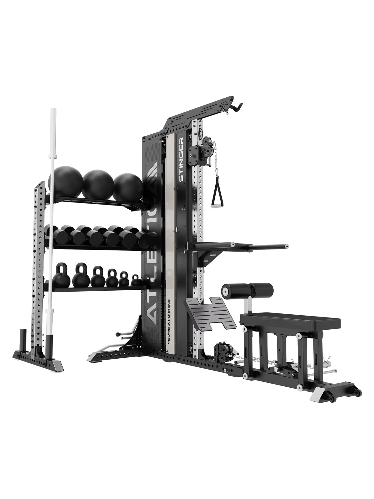 Stinger Lat Pulldown and Functional Trainer with additional Storage for Kettlebells, Wall Balls, Barbells and Dumbbells