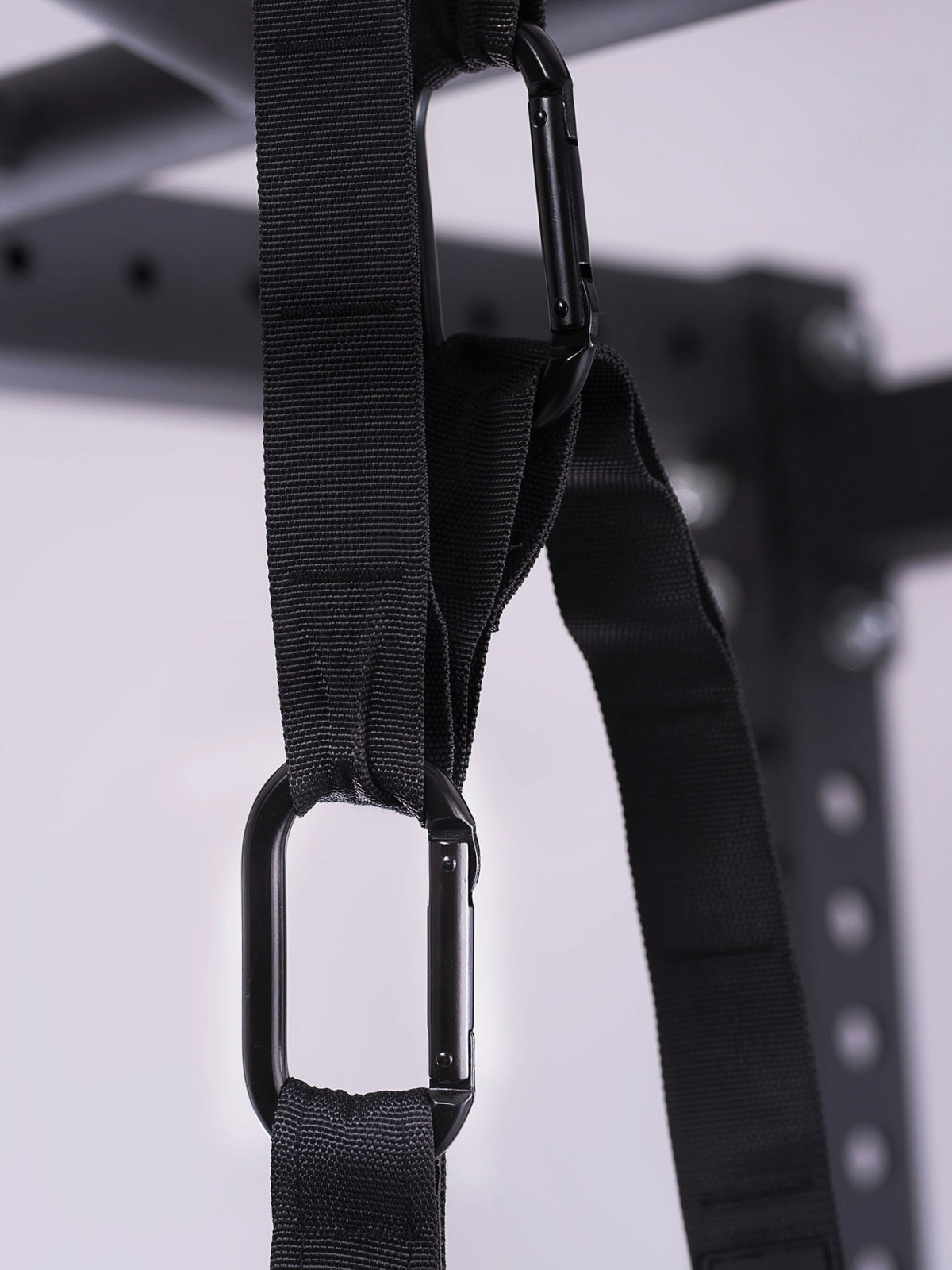 Suspension Trainer carabiner in detail
