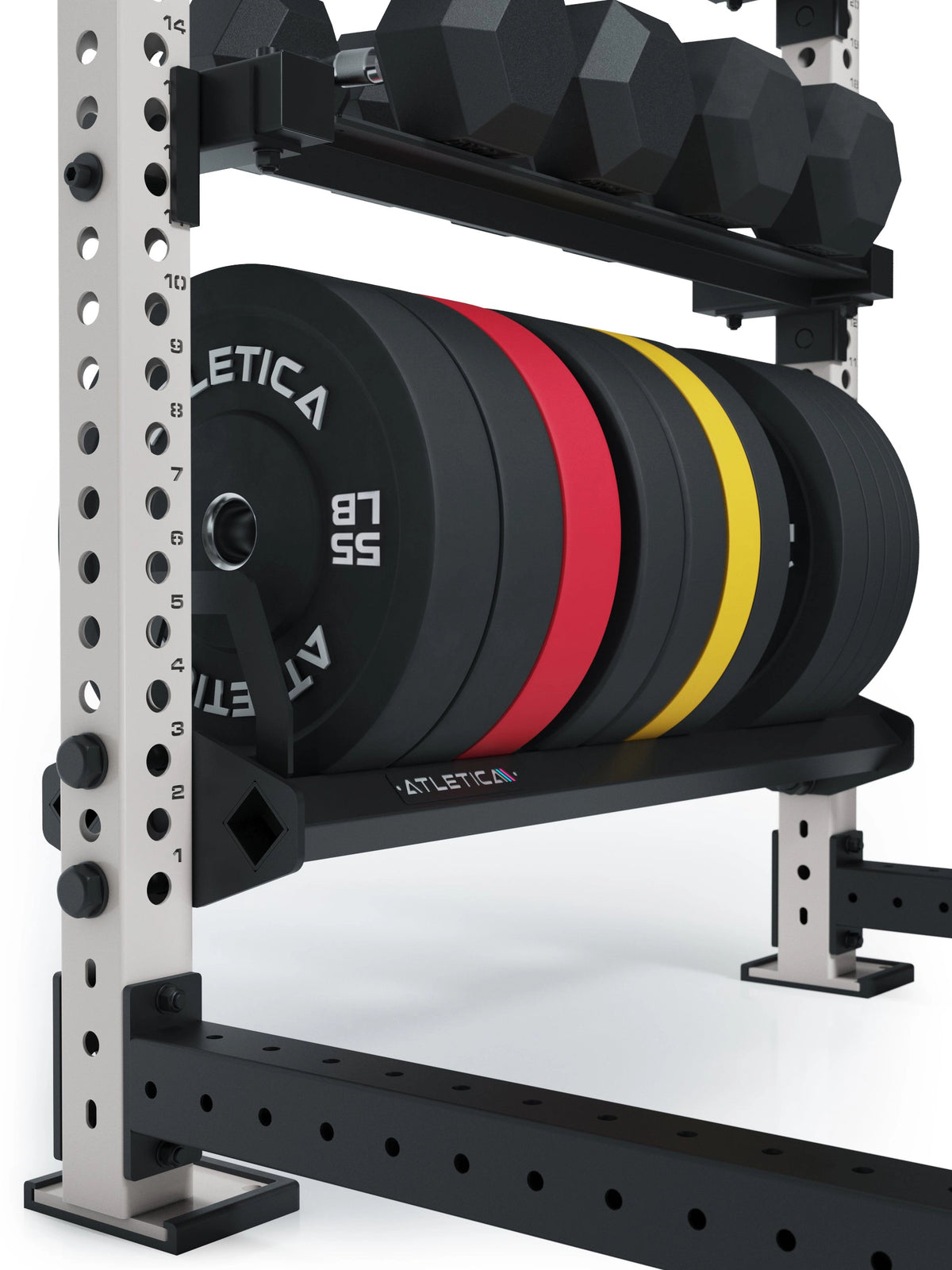 R8 Rack - with weight plates and dumbbells, for strength training