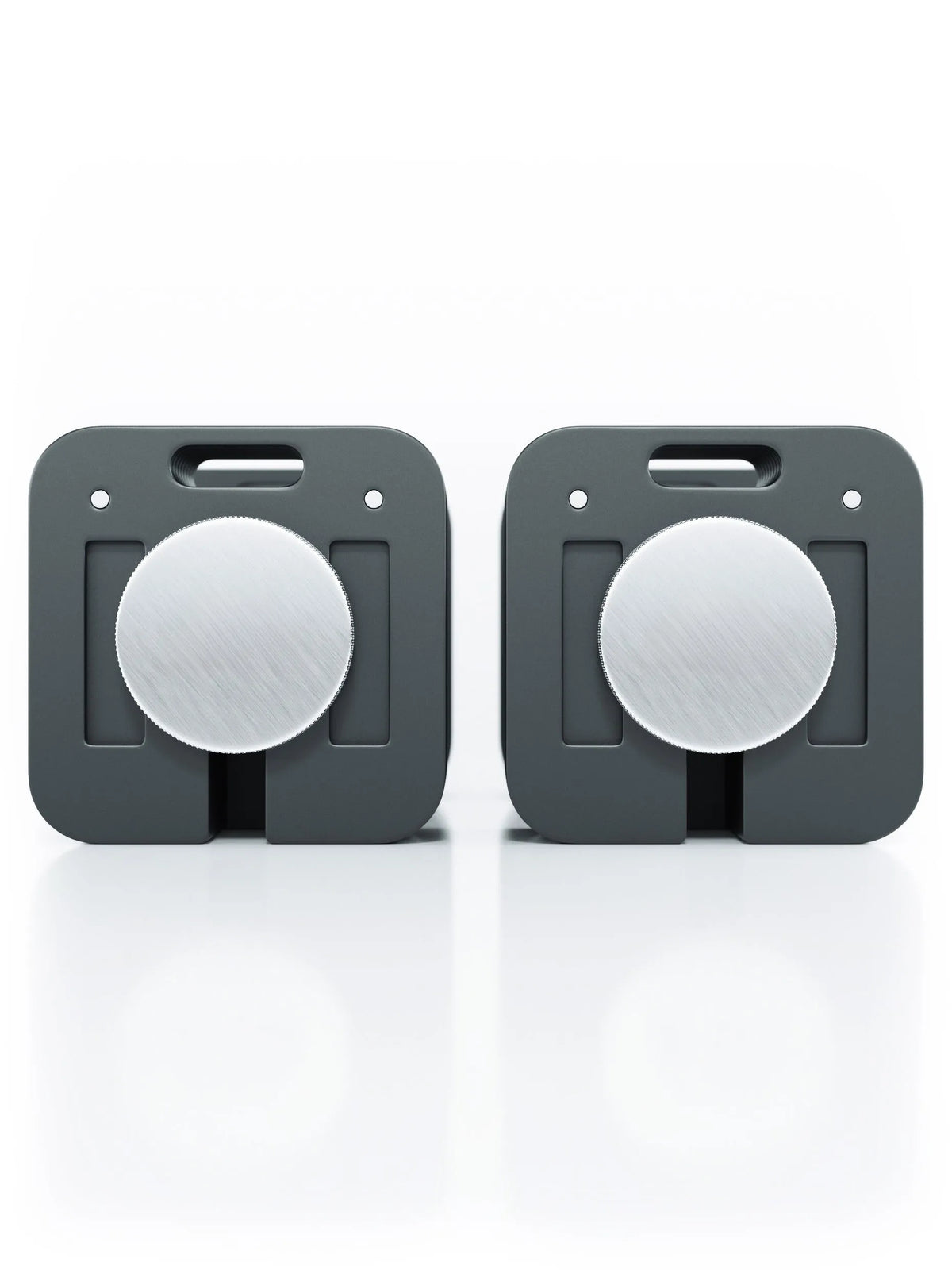 QUAD - two adjustable dumbbells, gray base, silver plates, central logo